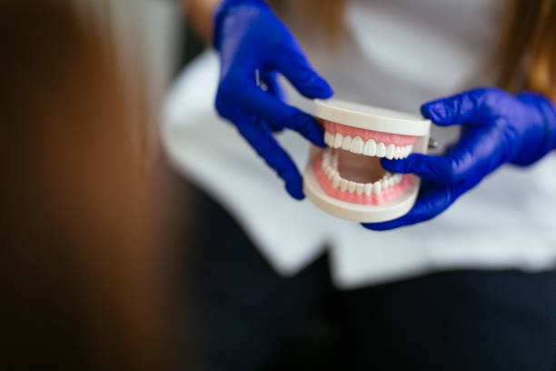 Trusted Lincoln Park, NJ  Holistic Dental Services Experts